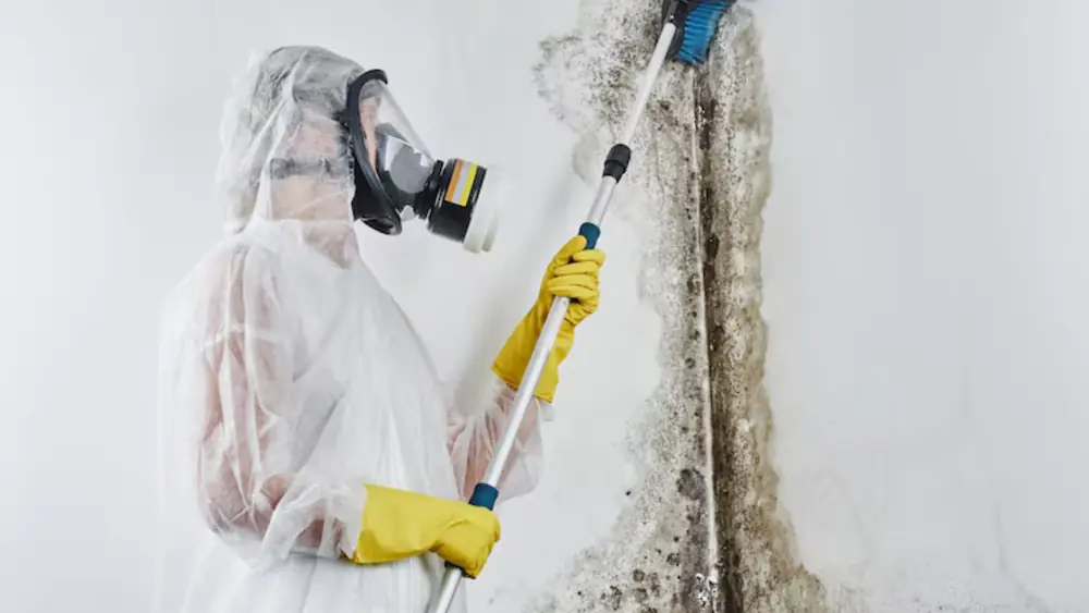 Worker in a respirator and suit spraying a mold-stained wall