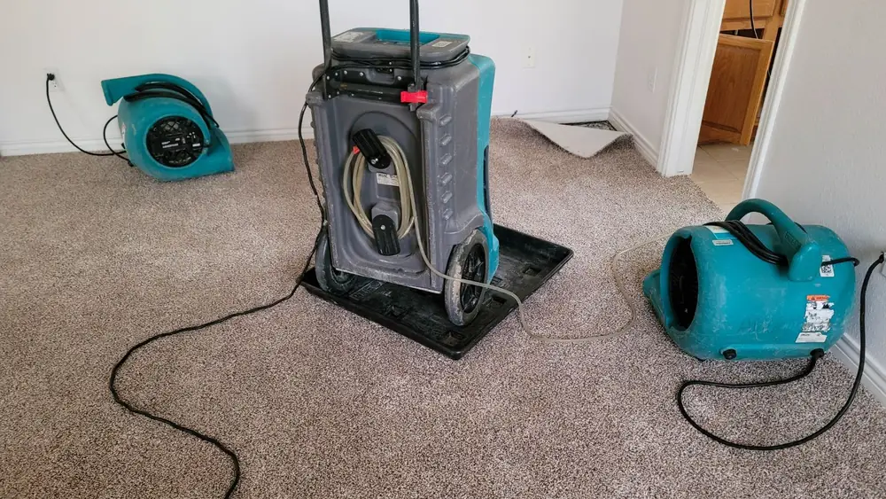 Dehumidifier and air movers drying carpet in a room