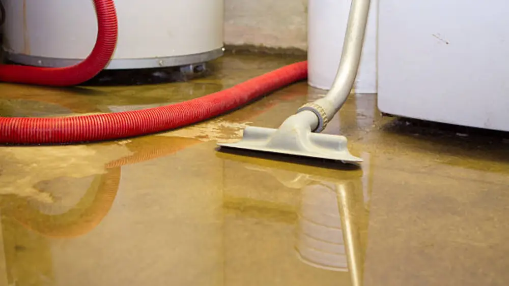Wet vacuum wand cleaning water from a floor