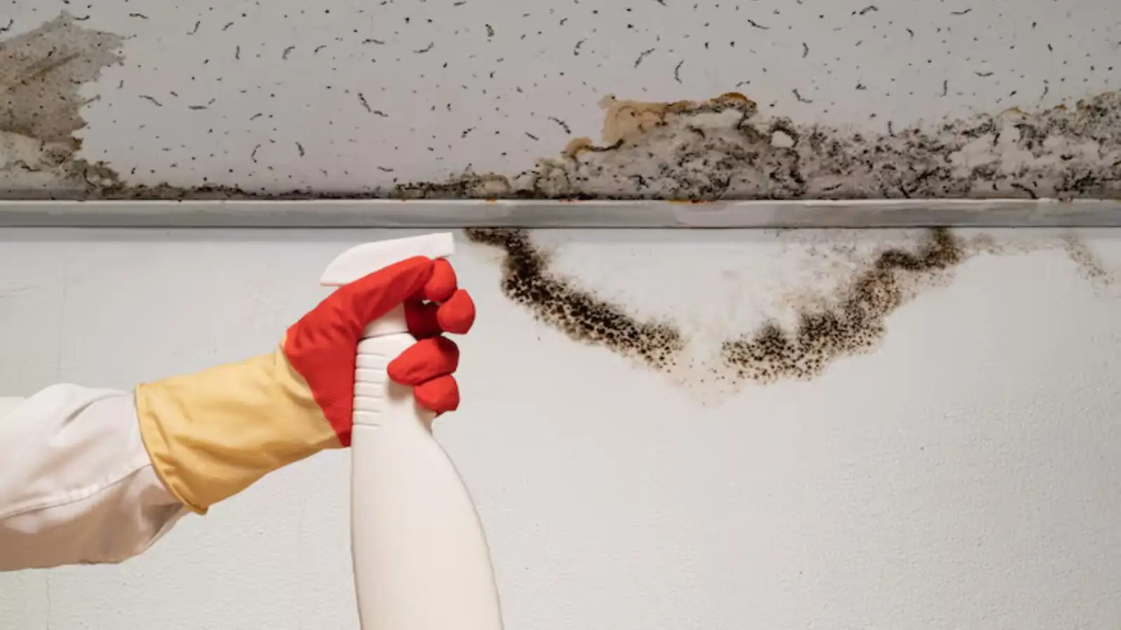 Dark mold spotting along a ceiling edge