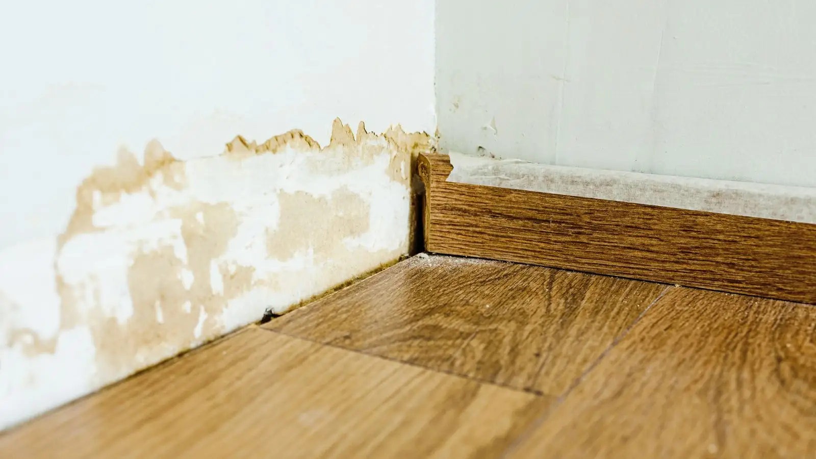 Water stain on a wall above the baseboard and wood floor