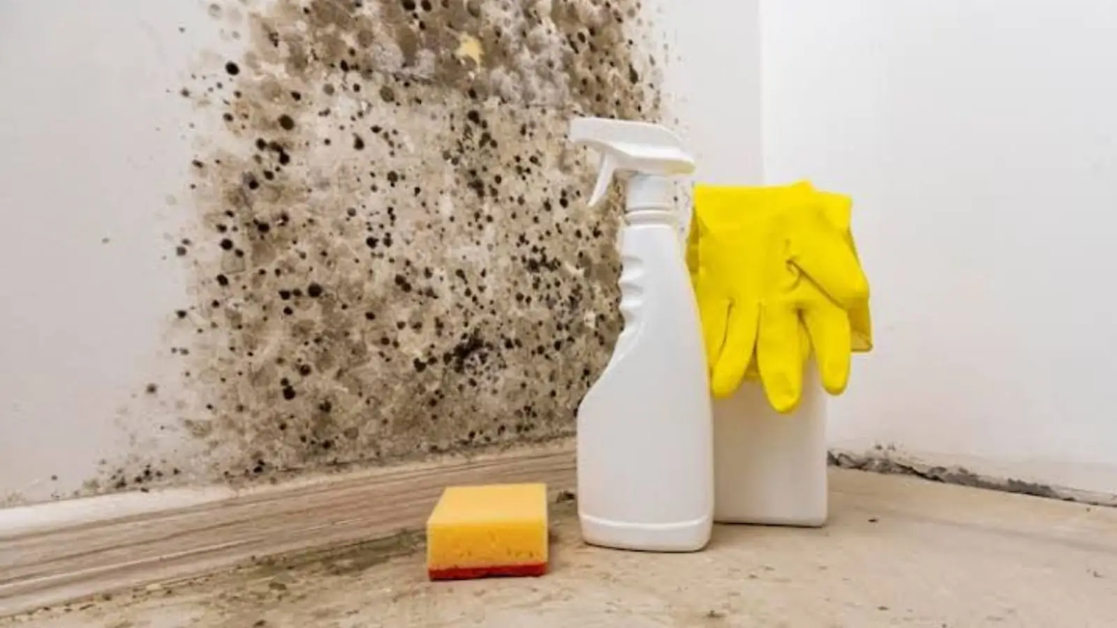 Black mold on a wall beside cleaning supplies